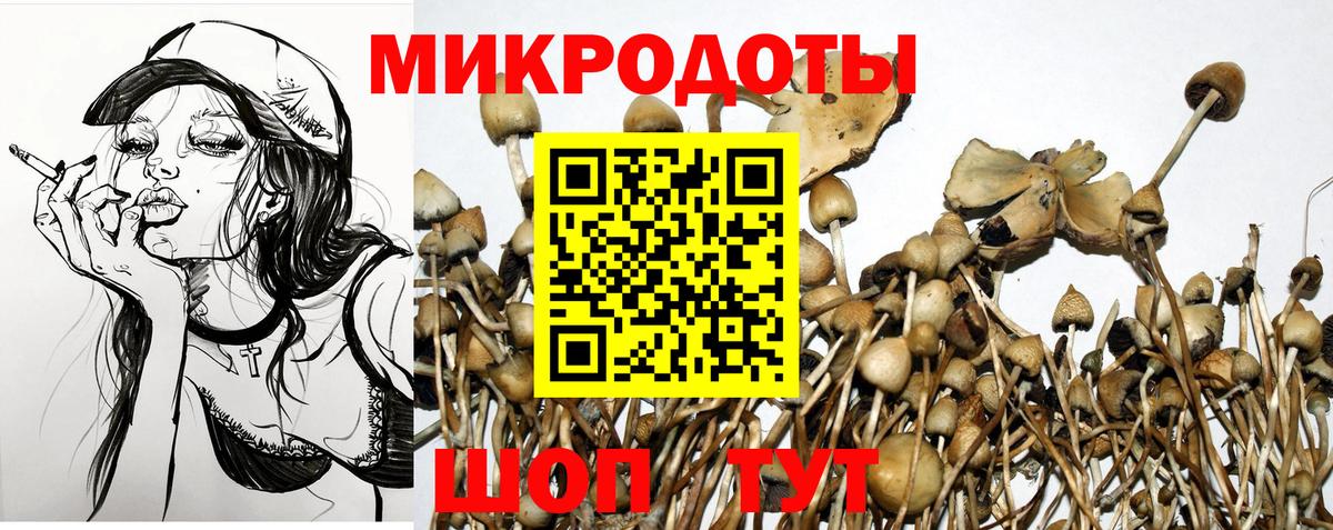 Отрадный  Галлюциногенные грибы мицелий  Галлюциногенные грибы Cubensis  Вход с VPN 